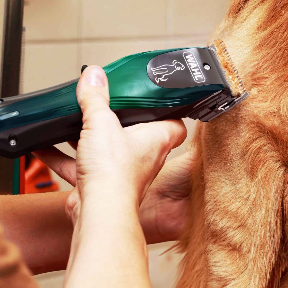 Wahl Groomlite wahlclipper