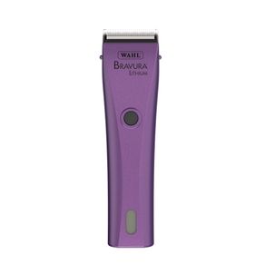 3028221-BravuraPurple_Hero